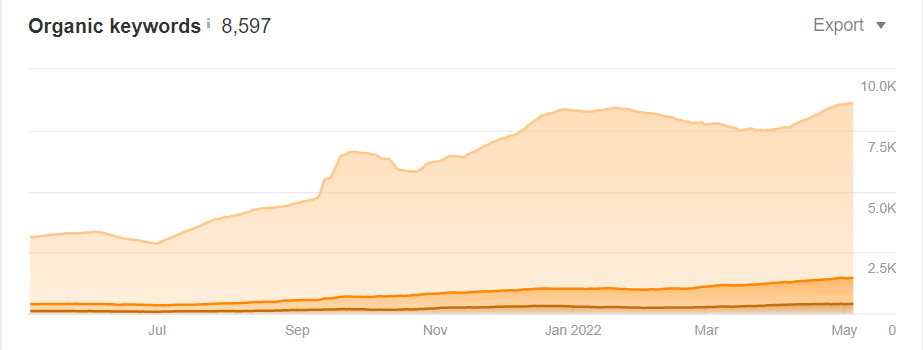 Organic Keywords Report